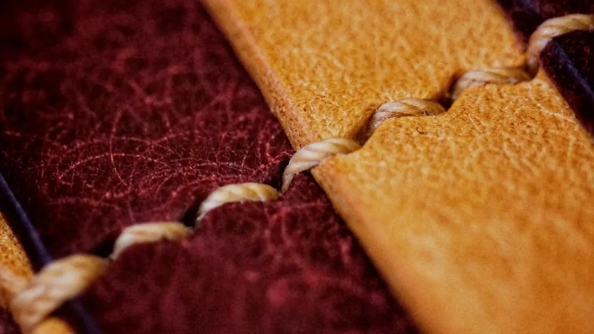The Reef - Long Wallet, photo 16