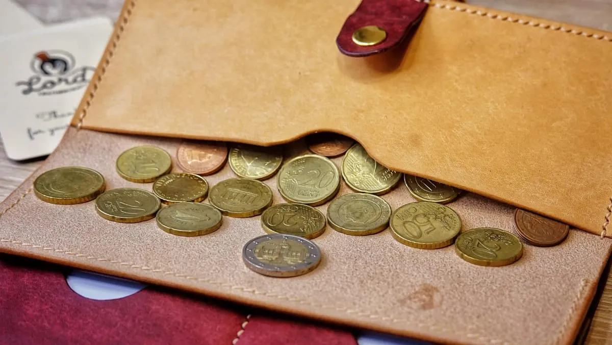 The Reef - Long Wallet, photo 19