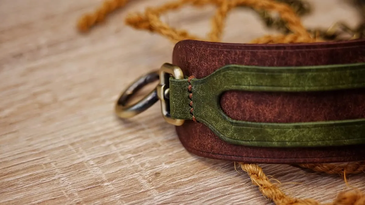 Cuffy - Dual wristband, photo 3