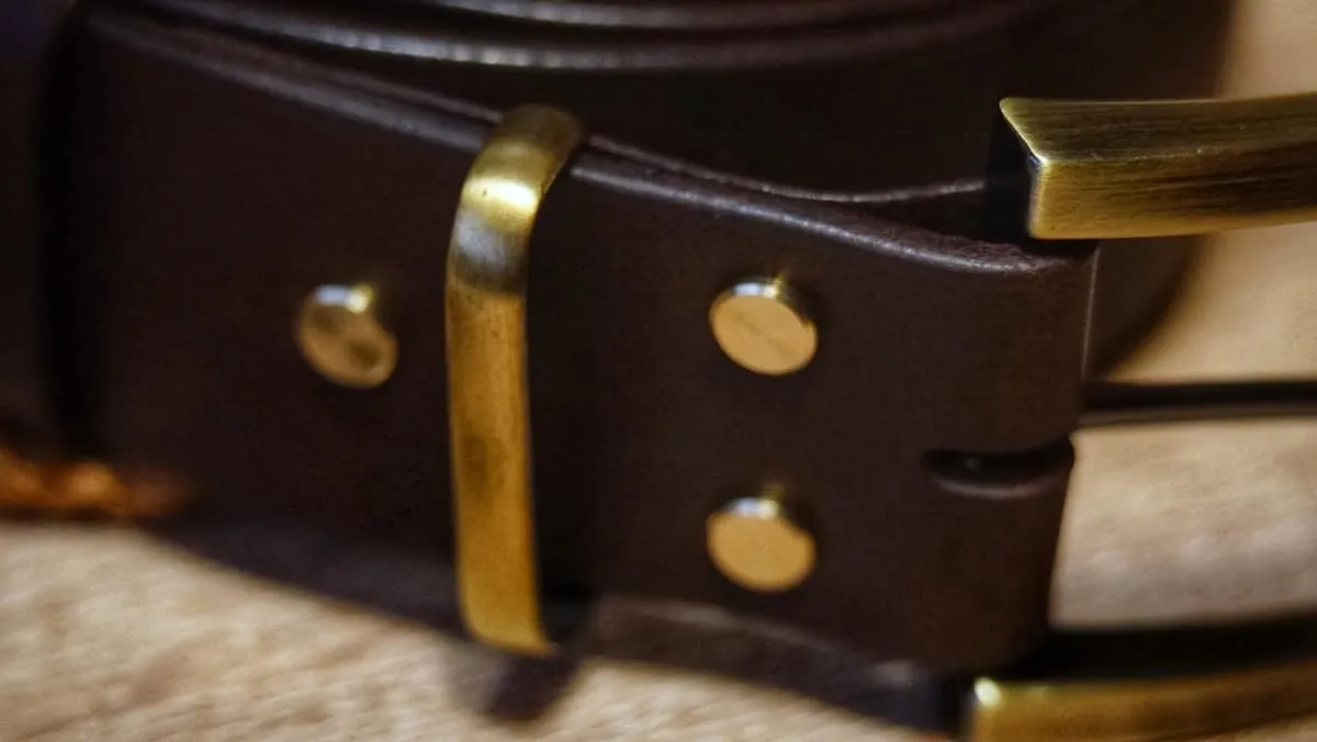 Belt - Brown & Brass, photo 3