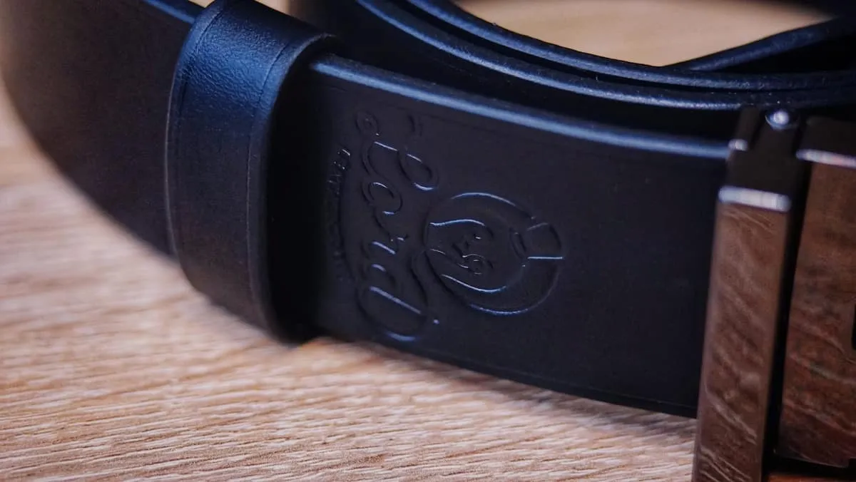 Belt - Black Casual, photo 4