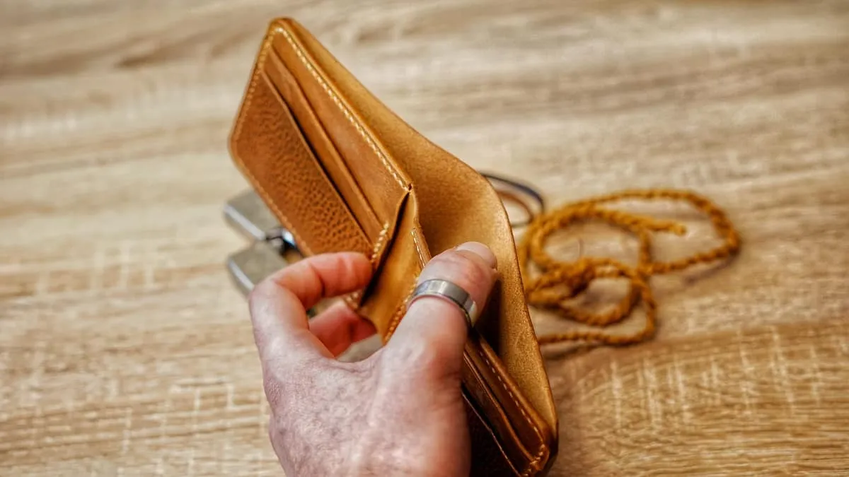 Wings 2 - Bi-fold Wallet, Dollaro & Waxed Browns, photo 6