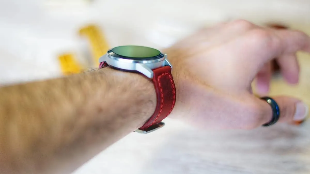 Bound, the watch strap, photo 6
